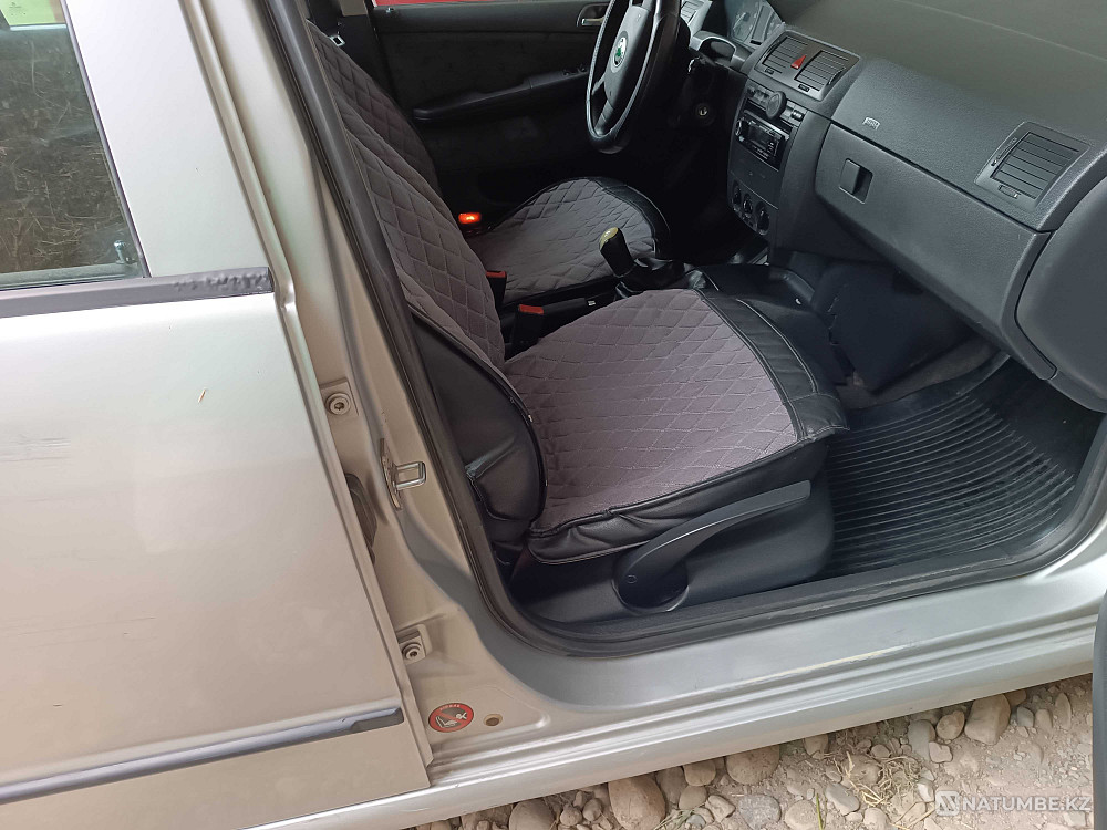    year Almaty - photo 5