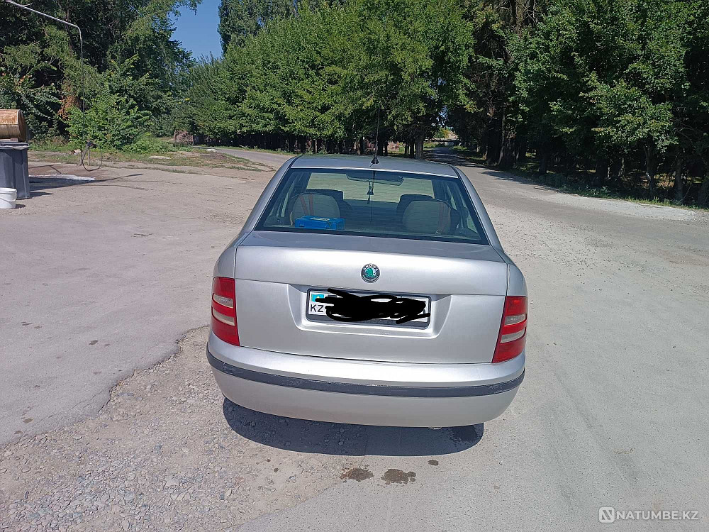    year Almaty - photo 10