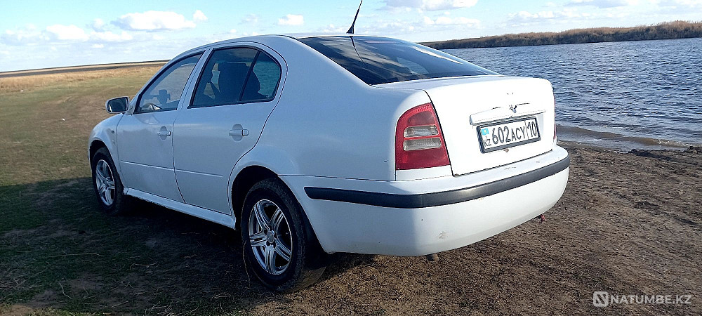    year Almaty - photo 2