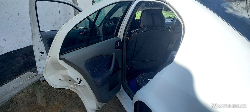    year Almaty - photo 6