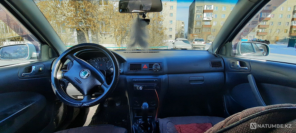    year Almaty - photo 7