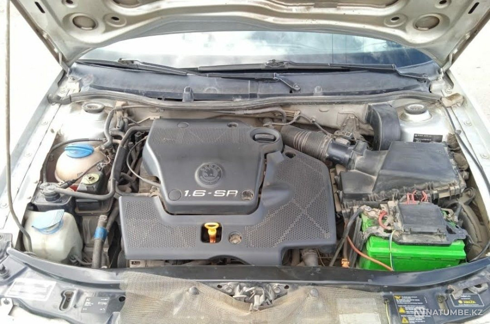    year Almaty - photo 6