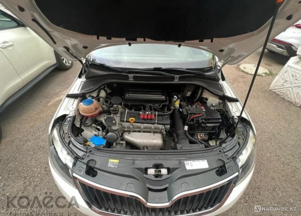    year Almaty - photo 8