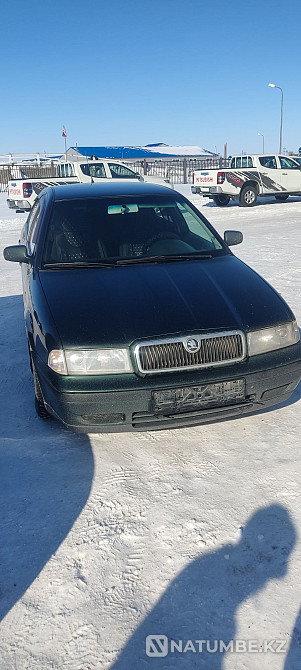    year Almaty - photo 1