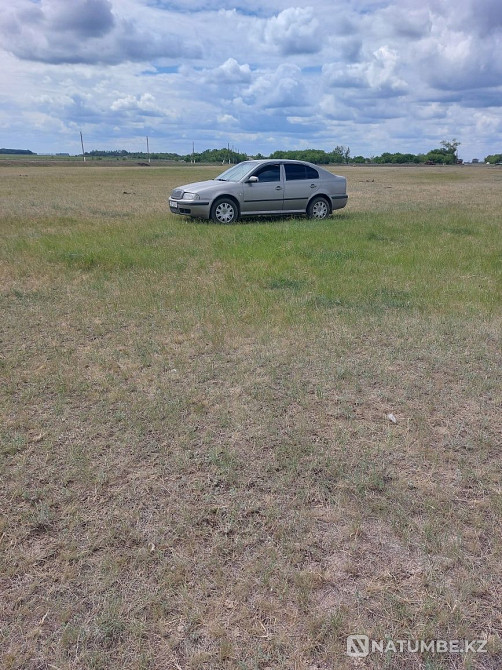    year Almaty - photo 1