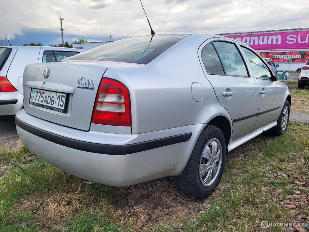    года Алматы - изображение 3