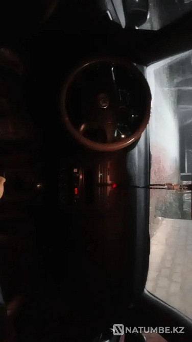    year Almaty - photo 5