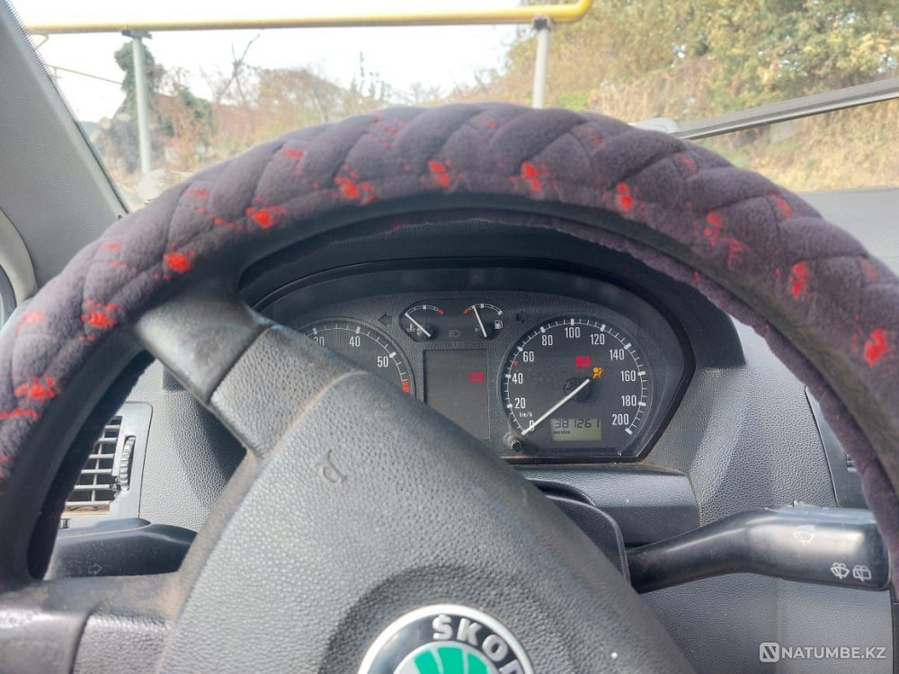    year Almaty - photo 3