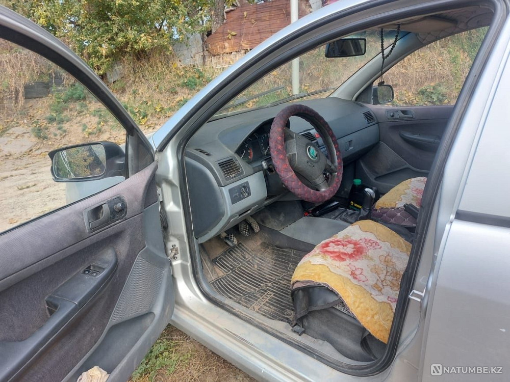    year Almaty - photo 2