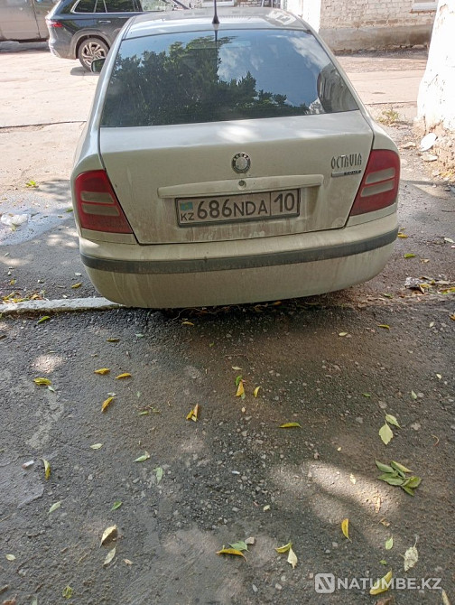    year Almaty - photo 8