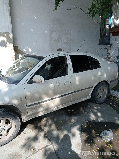    year Almaty - photo 10