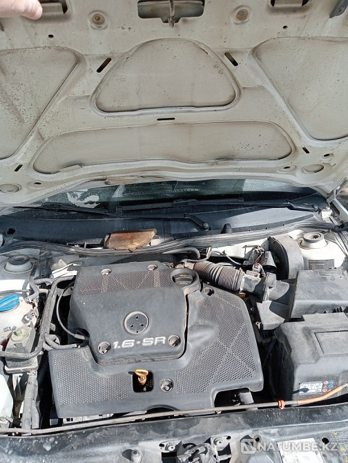    year Almaty - photo 7