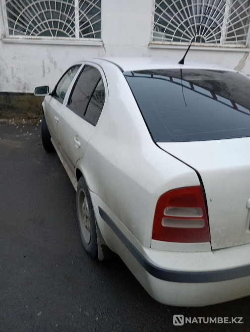    year Almaty - photo 3