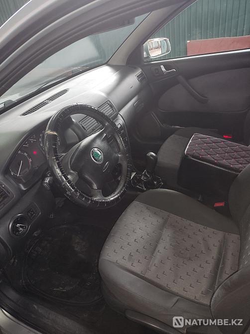    year Almaty - photo 8