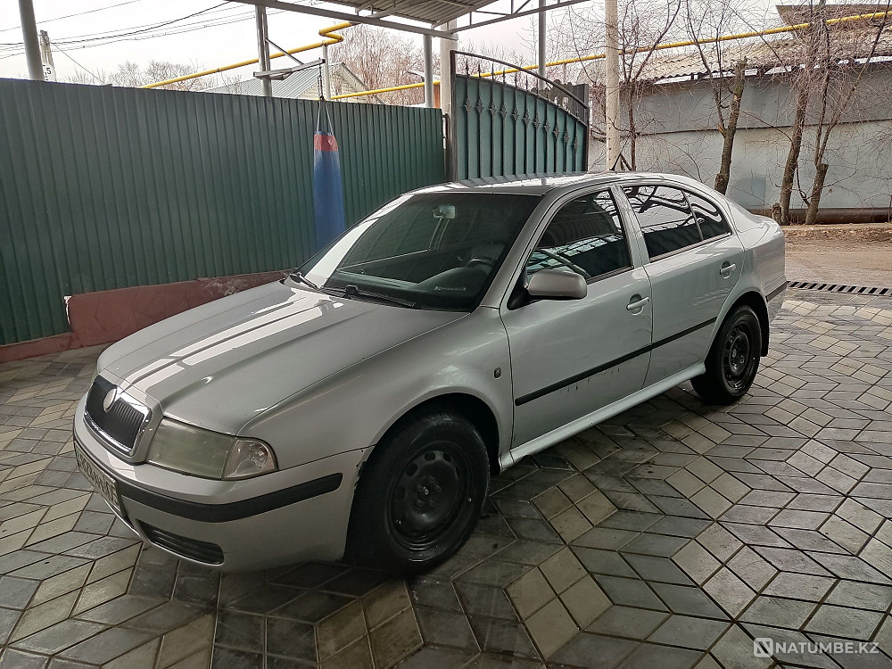    year Almaty - photo 5