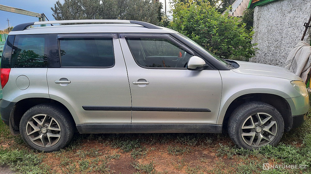    year Almaty - photo 3