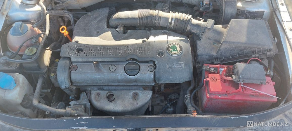    year Almaty - photo 10