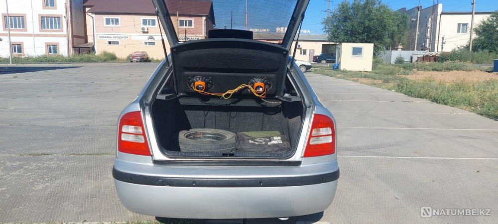    year Almaty - photo 5