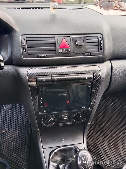    year Almaty - photo 4