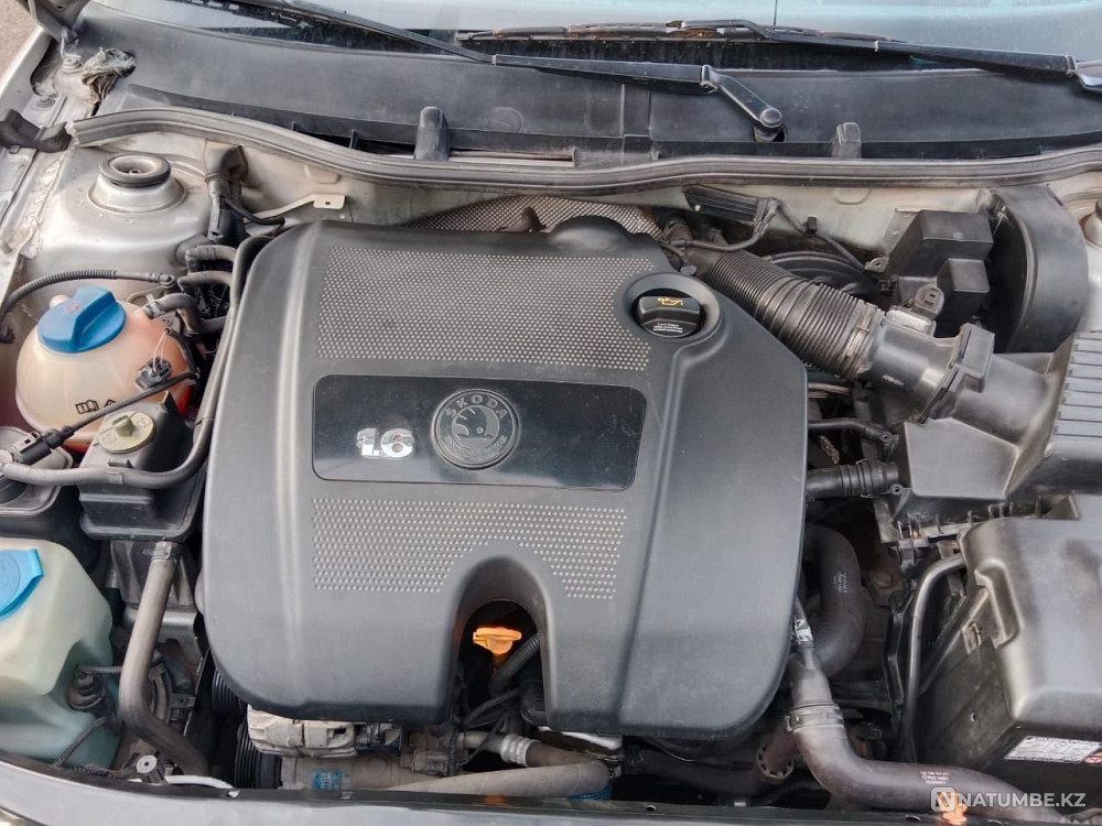    year Almaty - photo 6