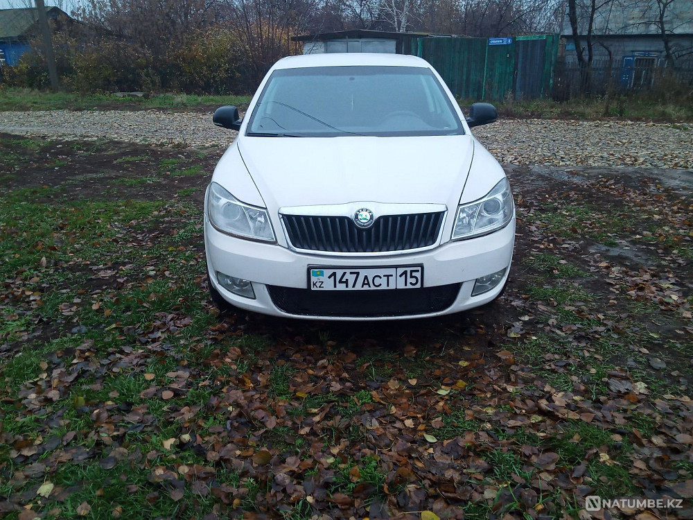    year Almaty - photo 3