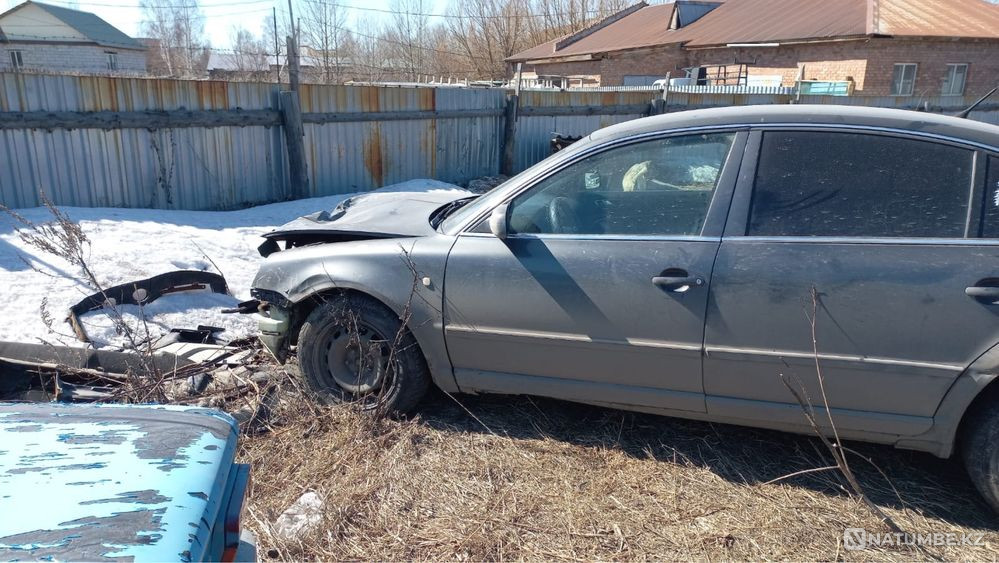    year Almaty - photo 5