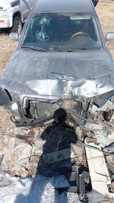    year Almaty - photo 2