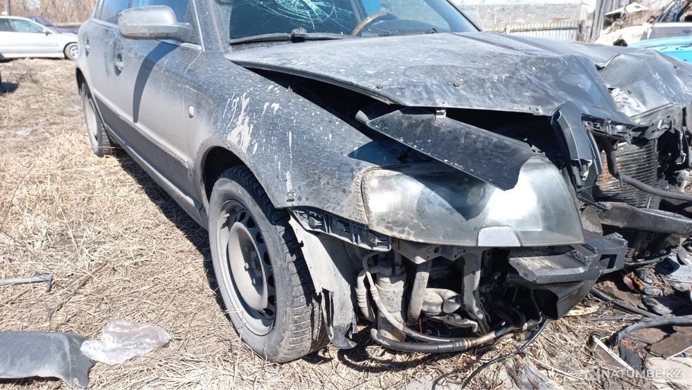    year Almaty - photo 3