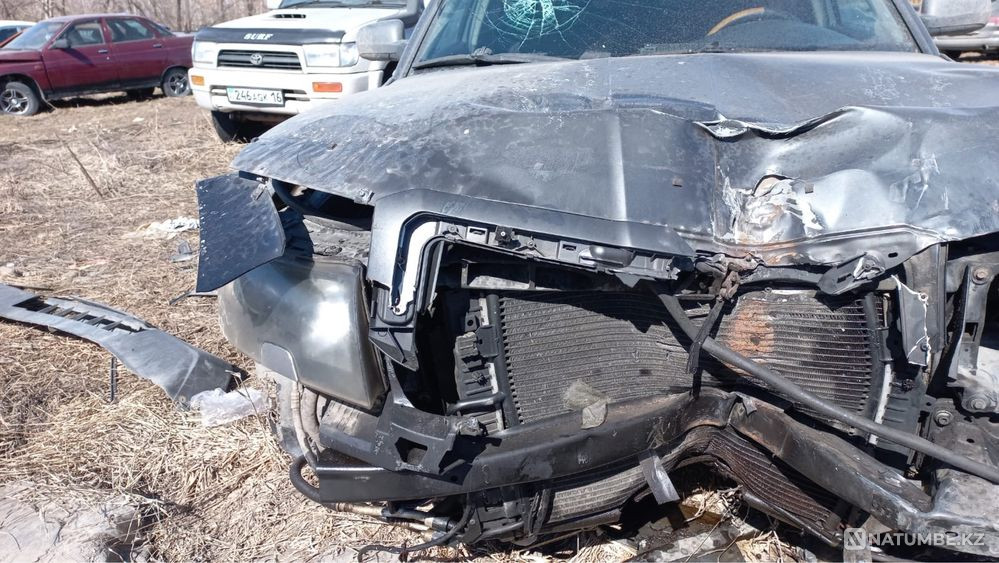    year Almaty - photo 4