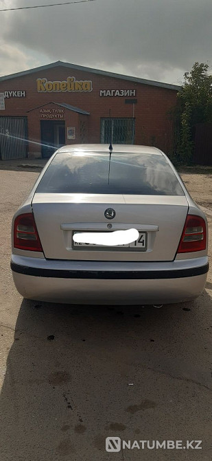    year Almaty - photo 3