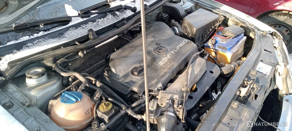    year Almaty - photo 5