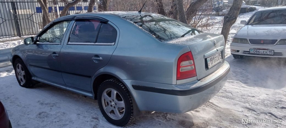    year Almaty - photo 9