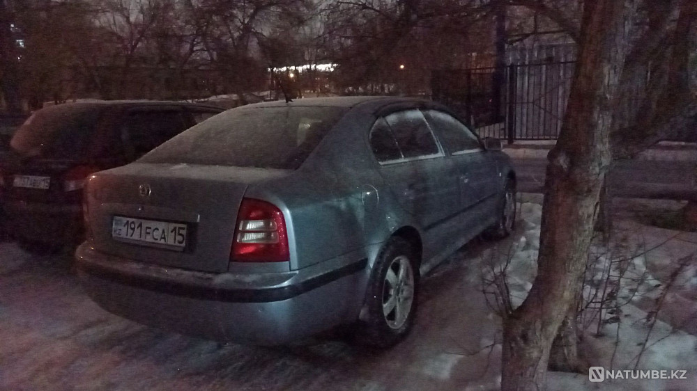    year Almaty - photo 4