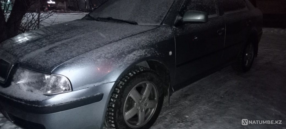    year Almaty - photo 3