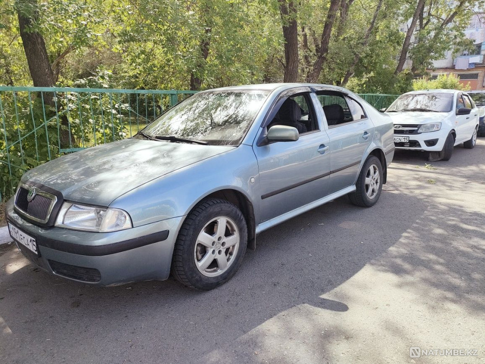    year Almaty - photo 1