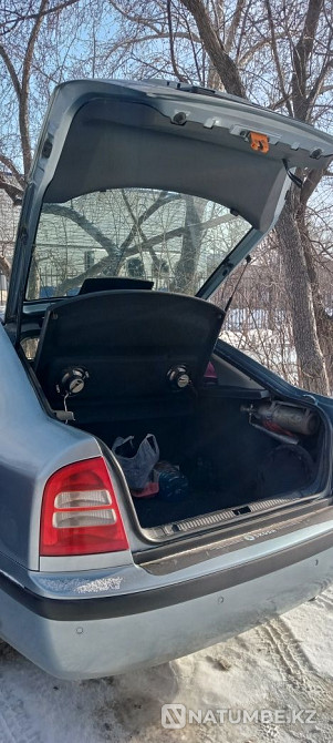    year Almaty - photo 7