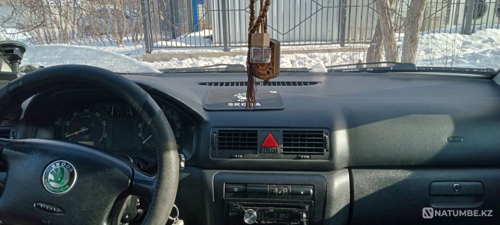    year Almaty - photo 6