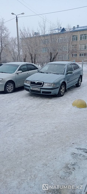    year Almaty - photo 10