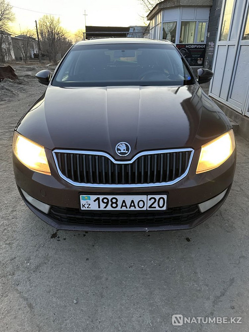    жыл  Алматы - изображение 5