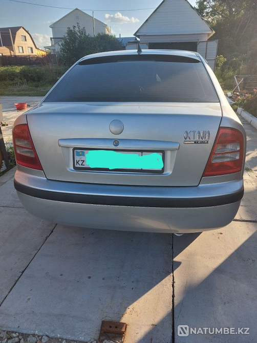    year Almaty - photo 2