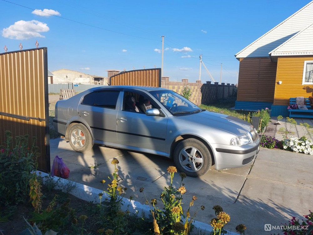    year Almaty - photo 5