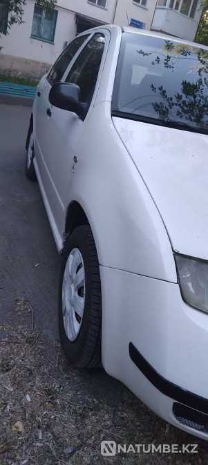    year Almaty - photo 3