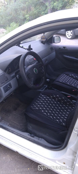    year Almaty - photo 5