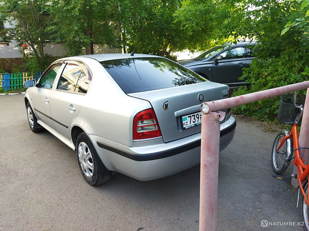    year Almaty - photo 6