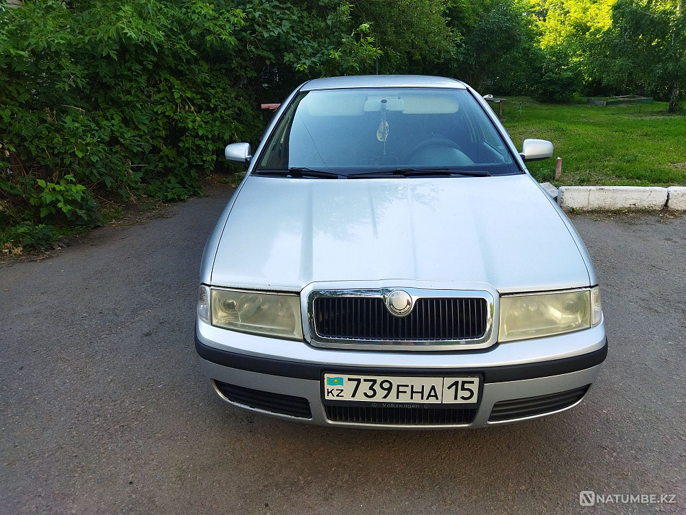    year Almaty - photo 4