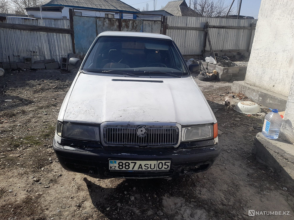    year Almaty - photo 3