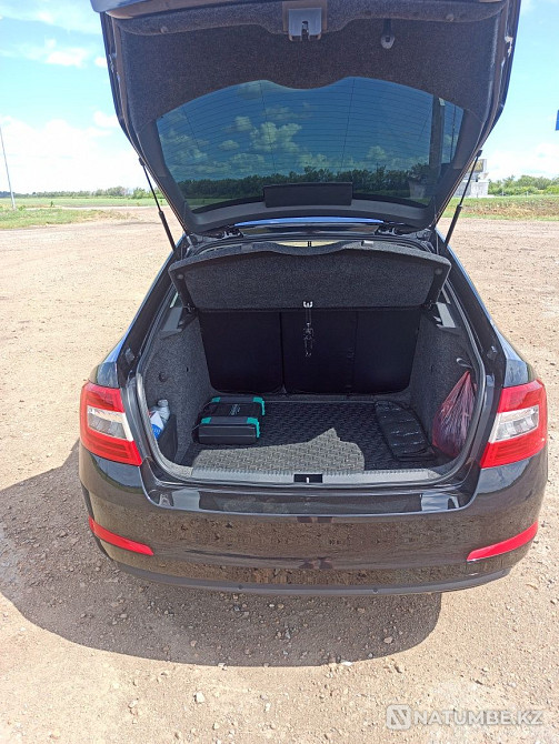    year Almaty - photo 4