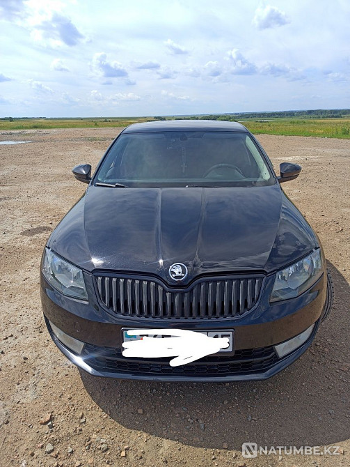    year Almaty - photo 1