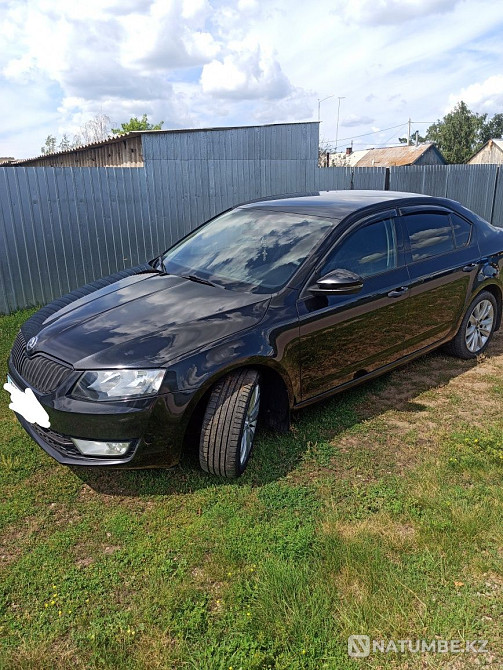    year Almaty - photo 2