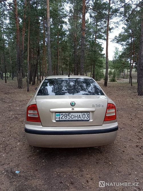    year Almaty - photo 4